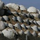 Las balas de basura llevan más de seis años apiladas en Ferral