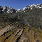 Tras diez años esperando su eliminación, la vegetación camufla en algunos puntos los fardos de basura de El Busto.