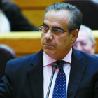 Celestino Corbacho, durante la sesión de control al Gobierno, ayer en el Senado.