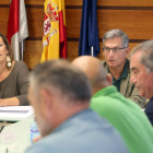 La consejera de Agricultura y Ganadería y portavoz de la Junta, Milagros Marcos, en el Consejo Agrario de Castilla y León. RUBÉN CACHO