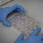 Cultivos de células hepáticas en el Institut de Bioenginyeria de Catalunya (Ibec), en Barcelona.