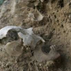El cráneo se encuentra sobre la cubierta de tierra de una cueva tradicional de la zona