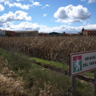 Imagen de la localidad de Grisuela del Páramo, perteneciente al municipio de Bustillo.