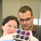 Investigadores del IRB de Barcelona con una muestra usada en el estudio del ácido palmítico. irb