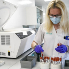 Una trabajadora en un laboratorio de microbiología prepara muestras.  JAVIER CEBOLLADA