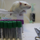 El Instituto de Biotecnología de León es uno de los centros de investigación que colabora en los proyectos de la Universidad de León.