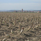 La concentración tendrá lugar en Villanera de la Vega II