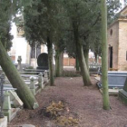 La caída de varios cipreses ha producido numerosos daños en el cementerio.