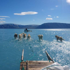 Un trineo avanza por el hielo derretido en Groenlandia. STEFFEN M. OLSEN