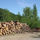 Los aprovechamientos de madera son uno de los recursos importantes para las juntas vecinales de León