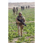 Varios soldados patrullan una zona rural de Helmand.