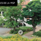 La primera visita, mañana, se centrará en los árboles. DL