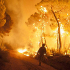 Un miembro de los equipos de extinción de incendios camina ante las llamas.