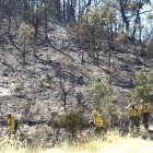 Unos brigadistas atraviesan el monte de Pesquera tras haber sido extinguido el fuego.