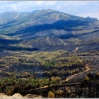 El cambio complica la regeneración de los bosques. DAVID FERNÁNDEZ