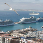 Vista de cuatro cruceros con cerca de 12.000 pasajeros en el Puerto de Alicante el pasado mes de mayo.
