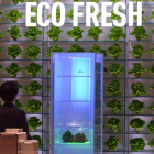 Presentación de un refrigerador ecológico en la feria de Berlín celebrada en septiembre de este año. RAINER HENSEN