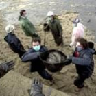 Voluntarios limpiaban ayer la playa de Muxía, en la Costa de la Muerte