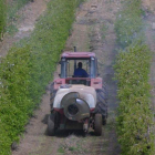 Un agricultor aplicando un tratamiento a una finca de frutales. ANA F. BARREDO