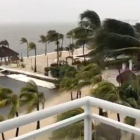 Palmeras balanceándose en Cayo Largo, Florida, como consecuencia del fuerte viento originado por el huracán Irma, en una imagen tomada del Facebook de Laura Kushner Gibson.