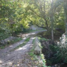 El proyecto Trino contempla la señalización de rutas ornitológicas en el Bierzo.