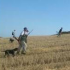 Cazadores y perros disfrutando de una  buena jornada de caza