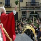 El obispo impartió la bendición de las palmas y los ramos