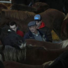 Los potros llenaron los corrales, en los que abundaron caballos de carne por encima de los de monta