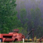 Maquinaria y aperos agrícolas abandonados en un campo entre choperas leonesas.