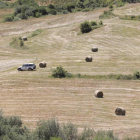 Balas de forraje, en época estival, en la montaña leonesa. marciano pérez