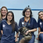 La doctora Pilar Alonso, en el centro de la imagen, junto a su equipo en la clínica. DL