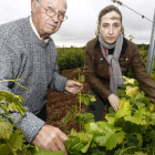 Pedro Casis y su hija Ana,en una de las grandes viñas familiares que son la base de la actividadde su bodega.