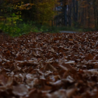 El tiempo en Joarilla de las Matas AEMET Foto: Pexels