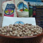 La alubia de La Bañeza es uno de los productos más señeros del sector agroalimenario leonés.