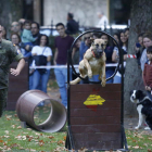 Un momento de la exhibición canina del Ejército de Tierra. FERNANDO OTERO