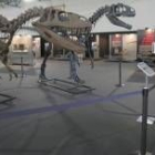 Una imagen de uno de los dinosaurios de la exposición de Cacabelos