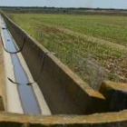 Una acequia dependiente del canal de la margen izquierda del Porma