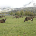 Imagen del valle de San Emiliano, cuyo territorio está dentro del futuro parque natural de Babia y Luna.