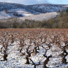 Las laderas del Mirador de Otero cobijan las cepas que dan vida alos mejores vinos de Parandones yque en invierno ofrecen con frecuencia esta bella imagen.