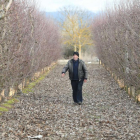 Efectos en los viñedos y frutales de la plaga de conejos en Narayola.