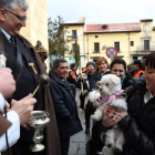 Celebración de San Antón en la capital