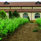 Aspecto de la fachada principal de la formidable bodega construida por Pedro Marcos.