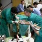 El equipo en uno de los quirófanos de la Facultad de Veterinaria