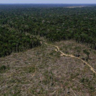 Barrera entre el territorio deforestado de la Amazonia brasileña y la selva tropical.