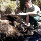 Imagen de un oso aparecido muerto a tiros en 2005. DL
