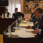 Alonso, durante su intervención en el último pleno. MEDINA