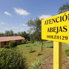 Uno de los talleres anulados iba a formar en viveros y apicultura en el Monte San Isidro. JESÚS F. SALVADORES