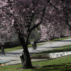 Paseo del río Bernesga, al comienzo de la primavera de este año. JESÚS F. SALVADORES