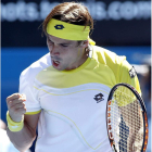Ferrer celebra su golpe ganador en el quinto set ante Almagro.