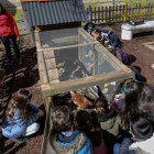 Alumnos del colegio Miguel Hernández de Laguna de Duero cuidan a las gallinas en el patio del colegio durante el recreo. R. GARCÍA